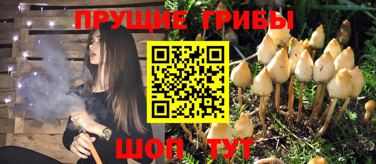 Галлюциногенные грибы MAGIC MUSHROOMS Зеленокумск
